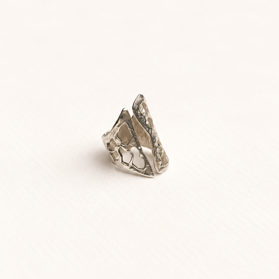 Anillo Broderi de Plata