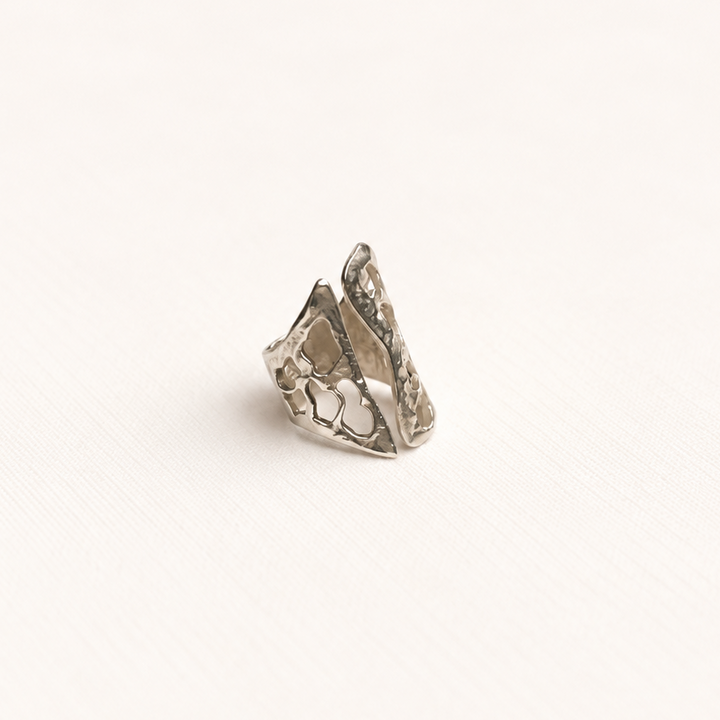 Anillo Broderi de Plata