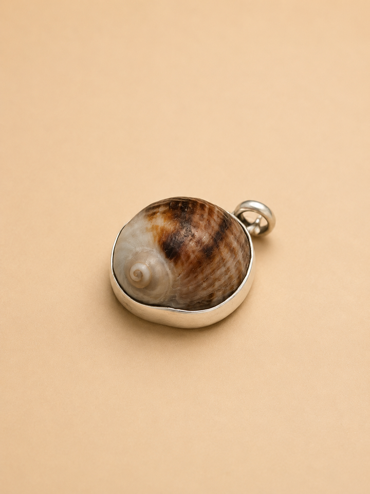 Colgante Concha Café en Plata