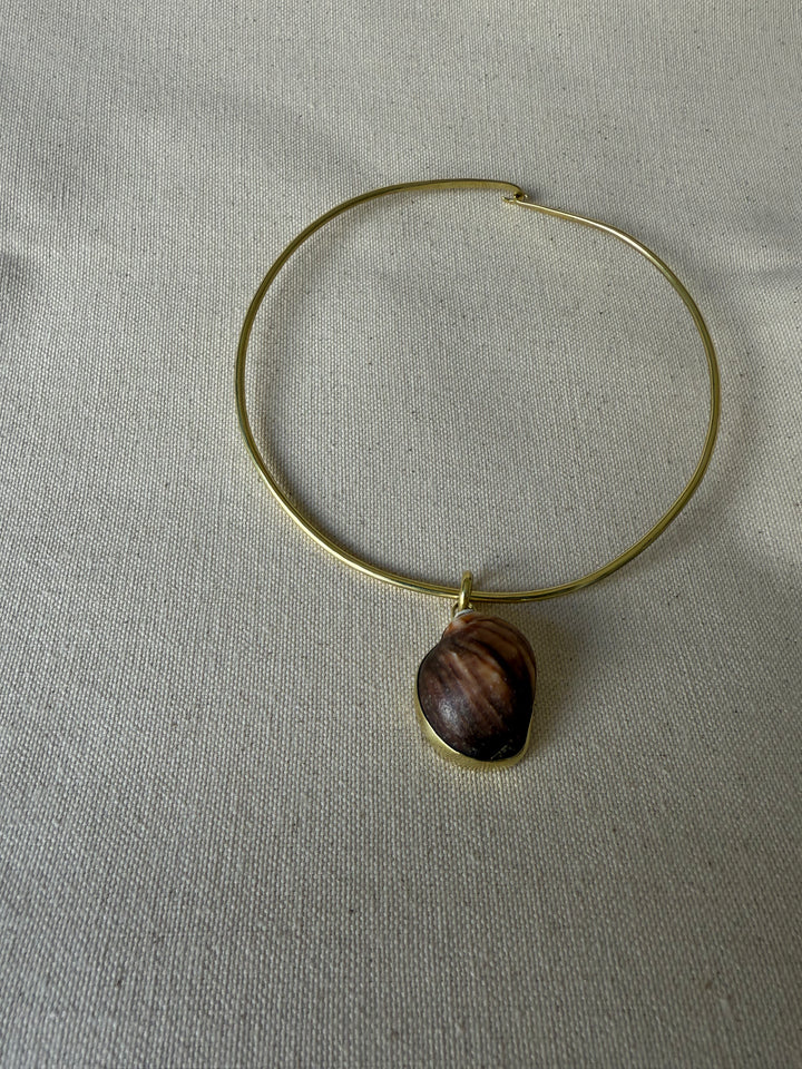 Caracol Con Bronce